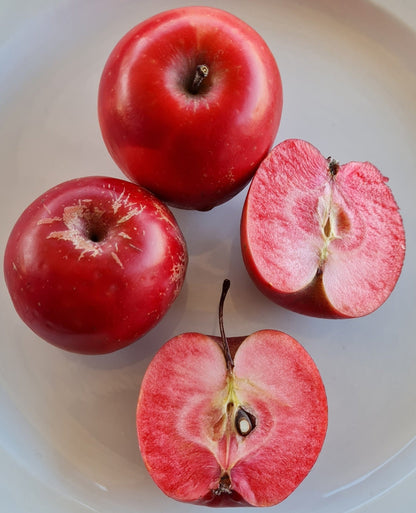 An image of 4 red-fleshed Huonville Crab apples used to make the Femme Fatale Rosé Cider - Small Acres Cyder